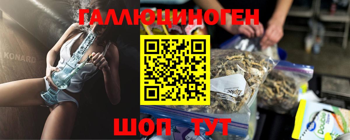 Строитель  купить  цена  Вход с VPN  Галлюциногенные грибы Cubensis 